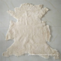 /msite/products/detail/productid/57922069/id/77354.html